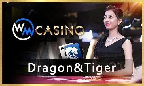 Poker tutorial and arcade games icon